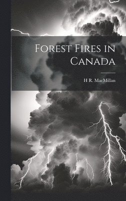 bokomslag Forest Fires in Canada