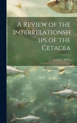 A Review of the Interrelationships of the Cetacea 1