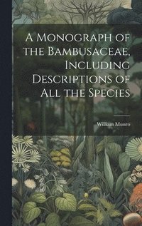bokomslag Monograph of the Bambusaceae, Including Descriptions of all the Species