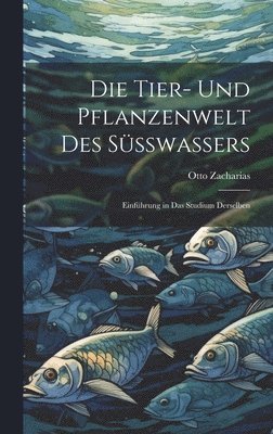 Tier- und Pflanzenwelt des Süsswassers