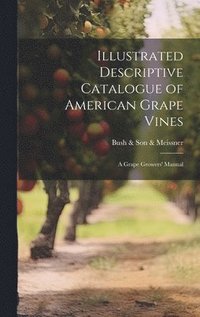 bokomslag Illustrated Descriptive Catalogue of American Grape Vines