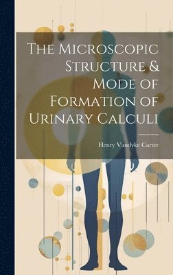 bokomslag The Microscopic Structure & Mode of Formation of Urinary Calculi