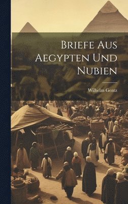 bokomslag Briefe Aus Aegypten Und Nubien