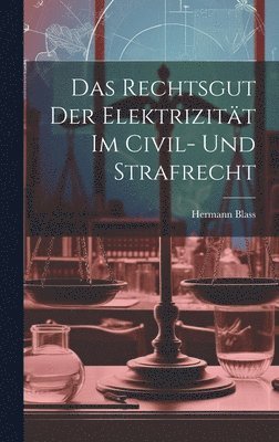 Das Rechtsgut Der Elektrizitt Im Civil- Und Strafrecht 1