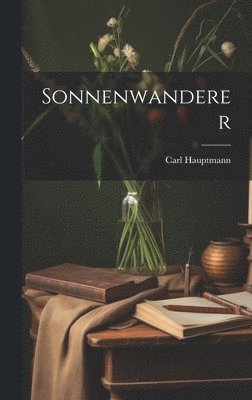 bokomslag Sonnenwanderer