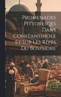 bokomslag Promenades Pittoresqes Dans Constantinole Et Sur Les Rives Du Bosphore