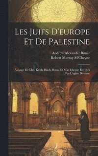 bokomslag Les Juifs D'europe Et De Palestine