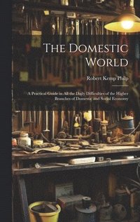 bokomslag The Domestic World