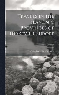 bokomslag Travels in the Slavonic Provinces of Turkey-In-Europe; Volume 1