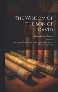 bokomslag The Wisdom of the Son of David