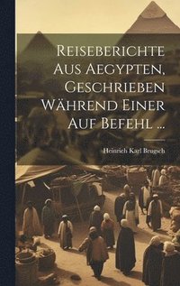 bokomslag Reiseberichte aus Aegypten, Geschrieben whrend einer auf Befehl ...