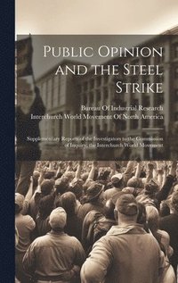 bokomslag Public Opinion and the Steel Strike