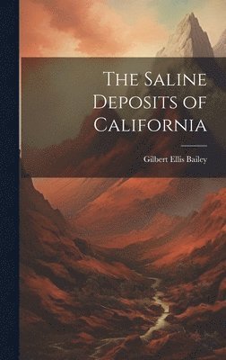 bokomslag The Saline Deposits of California