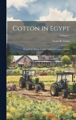 Cotton in Egypt 1