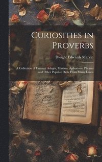 bokomslag Curiosities in Proverbs