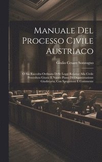 bokomslag Manuale Del Processo Civile Austriaco