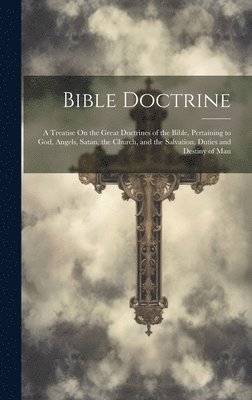 bokomslag Bible Doctrine