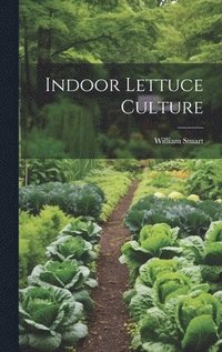 bokomslag Indoor Lettuce Culture
