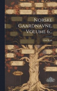 bokomslag Norske Gaardnavne, Volume 6...