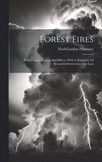 bokomslag Forest Fires
