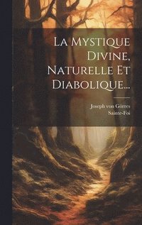 bokomslag La Mystique Divine, Naturelle Et Diabolique...