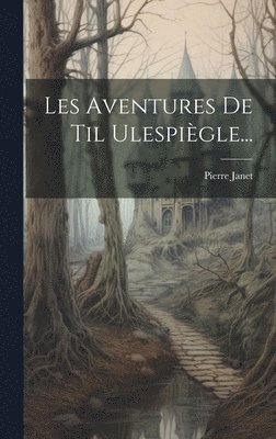 bokomslag Les Aventures De Til Ulespigle...