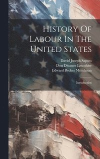 bokomslag History Of Labour In The United States