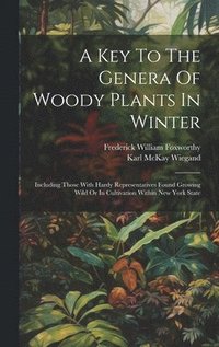 bokomslag A Key To The Genera Of Woody Plants In Winter