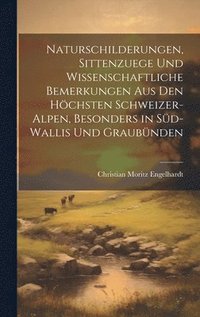 bokomslag Naturschilderungen, Sittenzuege und wissenschaftliche Bemerkungen aus den hchsten Schweizer-Alpen, besonders in Sd-wallis und Graubnden