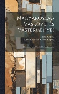 bokomslag Magyaroszág Vaskövei És Vasterményei