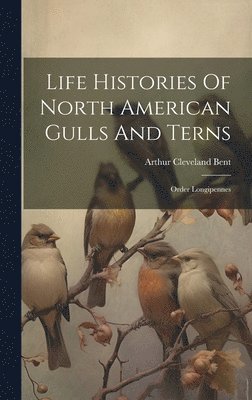 bokomslag Life Histories Of North American Gulls And Terns