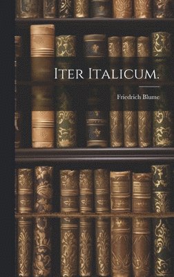 bokomslag Iter Italicum.