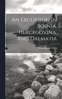 bokomslag An Excursion In Bosnia, Hercegovina, And Dalmatia