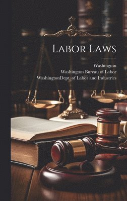 bokomslag Labor Laws