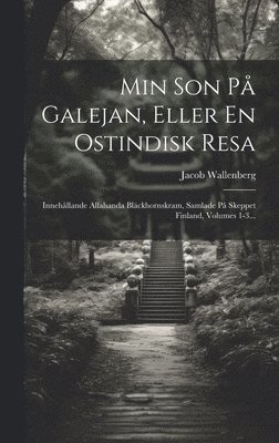 bokomslag Min Son P Galejan, Eller En Ostindisk Resa