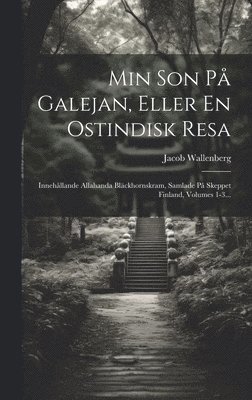 bokomslag Min Son På Galejan, Eller En Ostindisk Resa