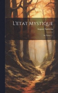 bokomslag L'etat Mystique