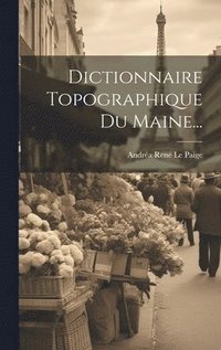 bokomslag Dictionnaire Topographique Du Maine...