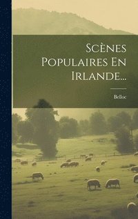 bokomslag Scènes Populaires En Irlande...