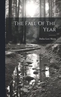 bokomslag Fall Of The Year