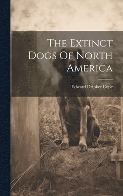 The Extinct Dogs Of North America 1
