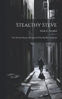 bokomslag Stealthy Steve