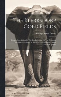 bokomslag The Klerksdorp Gold Fields