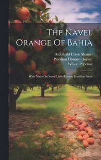 bokomslag The Navel Orange Of Bahia