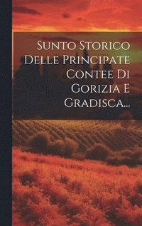 bokomslag Sunto Storico Delle Principate Contee Di Gorizia E Gradisca...