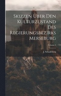 bokomslag Skizzen ber Den Kulturzustand Des Regierungsbezirks Merseburg; Volume 3