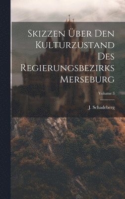 bokomslag Skizzen ber Den Kulturzustand Des Regierungsbezirks Merseburg; Volume 3