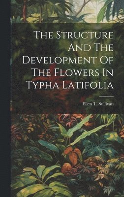 The Structure And The Development Of The Flowers In Typha Latifolia 1