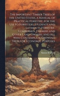 bokomslag The Important Timber Trees of the United States, a Manual of Practical Forestry, for the use fo Foresters, Students and Laymen in Forestry, Lumbermen, Farmers and Other Land-owners, and all who