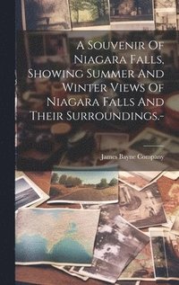 bokomslag A Souvenir Of Niagara Falls, Showing Summer And Winter Views Of Niagara Falls And Their Surroundings.-